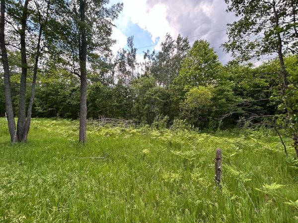 Parcel 2 Weaver Road, Comins, MI 48619