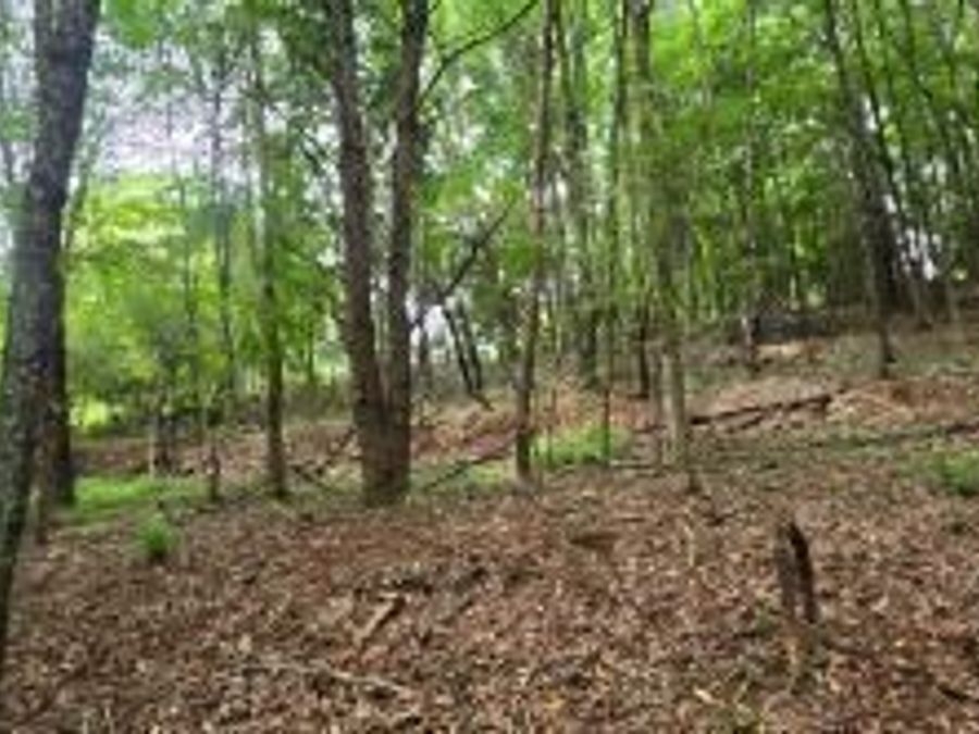 Property Image 25