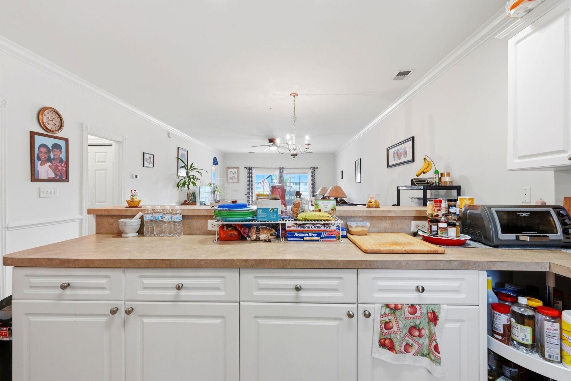 4812 Magnolia Lake Dr.  Photo 9