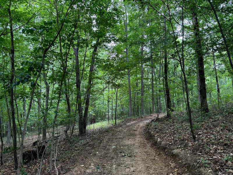 0 Cutlip St , Unit (Tract 7 a, Jackson, OH 45640 Photo 10