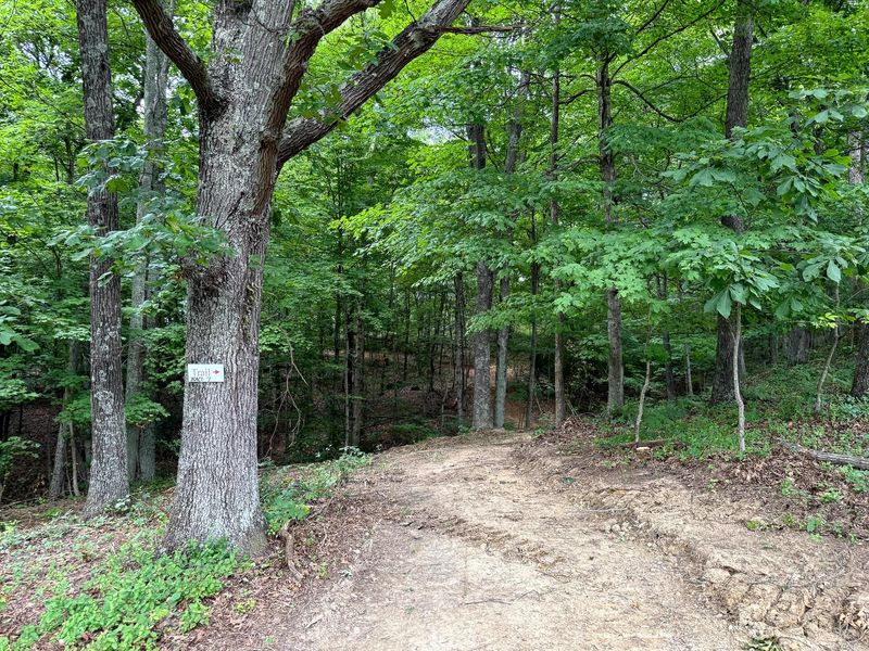 0 Cutlip St , Unit (Tract 7 a, Jackson, OH 45640 Photo 14