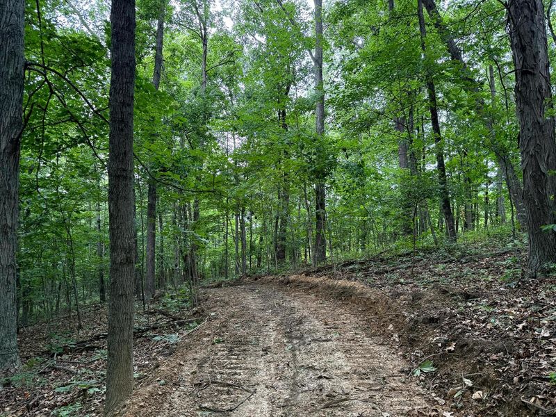 0 Cutlip St , Unit (Tract 7 a, Jackson, OH 45640 Photo 16