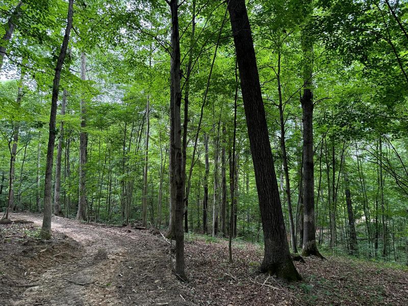 0 Cutlip St , Unit (Tract 7 a, Jackson, OH 45640 Photo 17