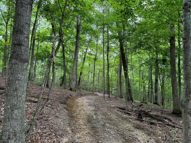 0 Cutlip St , Unit (Tract 7 a, Jackson, OH 45640 Photo 9