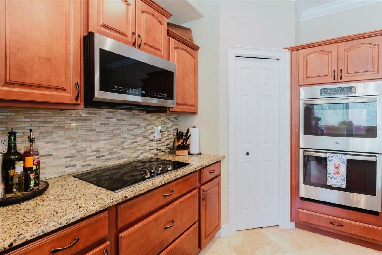 1839 Pink Guara Court, Trinity, FL 34655 Photo