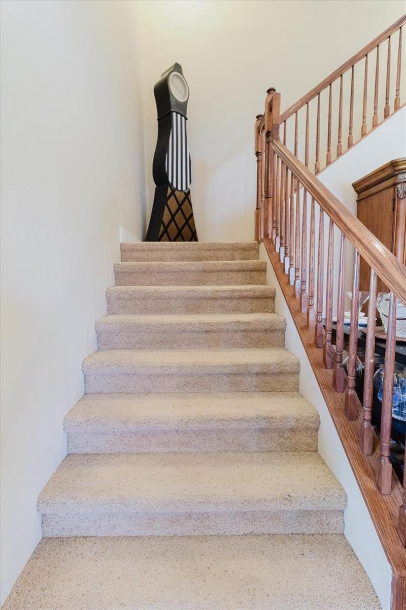 1839 Pink Guara Court, Trinity, FL 34655 Photo