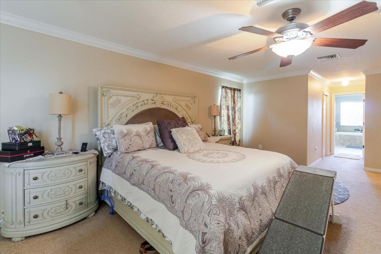 1839 Pink Guara Court, Trinity, FL 34655 Photo