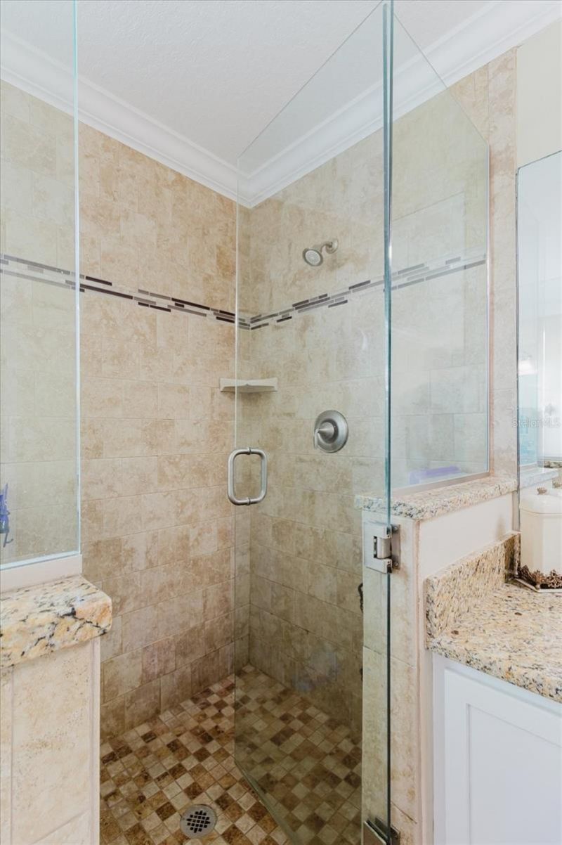 1839 Pink Guara Court, Trinity, FL 34655 Photo