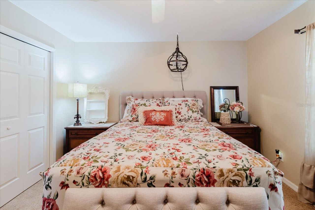 1839 Pink Guara Court, Trinity, FL 34655 Photo