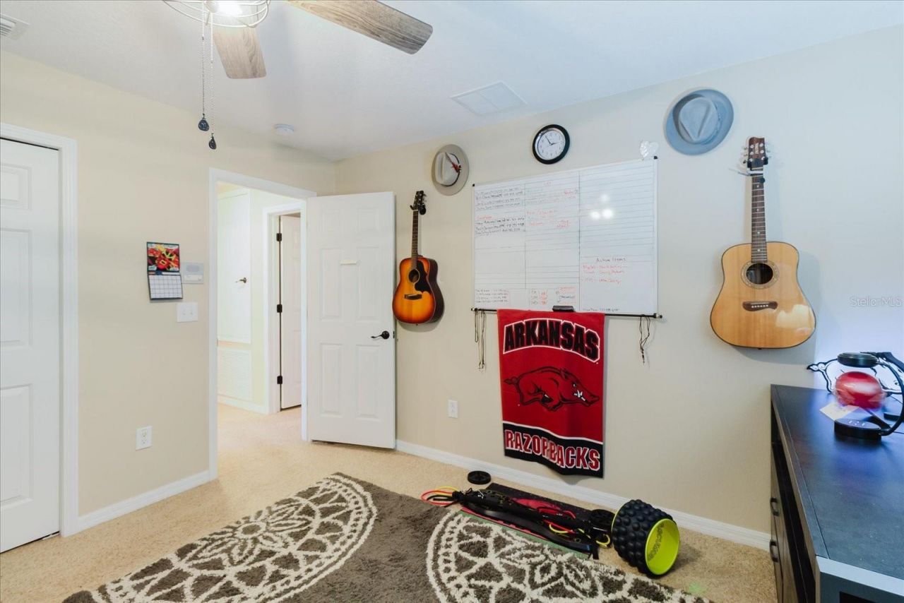 1839 Pink Guara Court, Trinity, FL 34655 Photo
