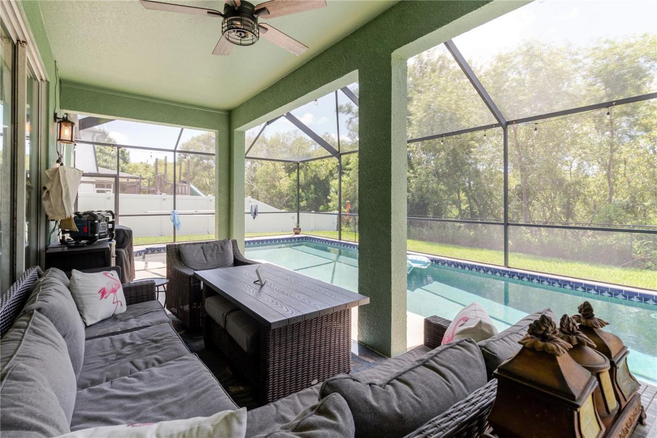 1839 Pink Guara Court, Trinity, FL 34655 Photo