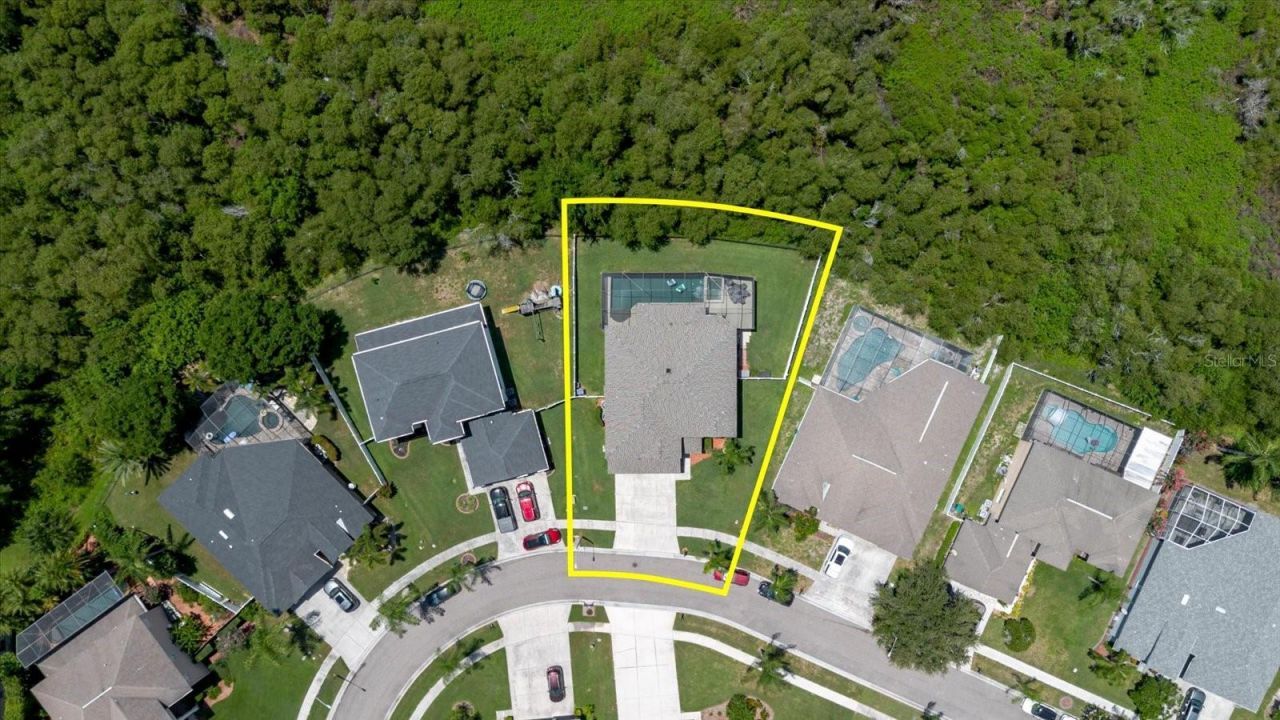 1839 Pink Guara Court, Trinity, FL 34655 Photo