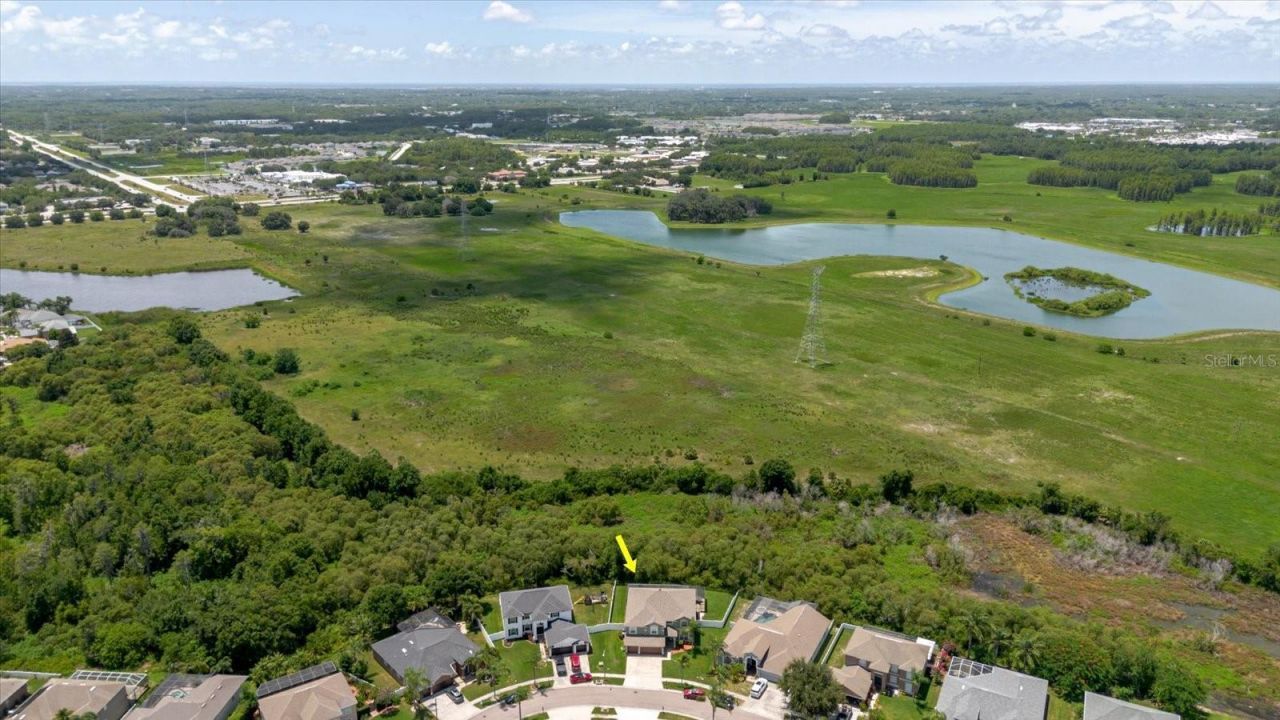 1839 Pink Guara Court, Trinity, FL 34655 Photo