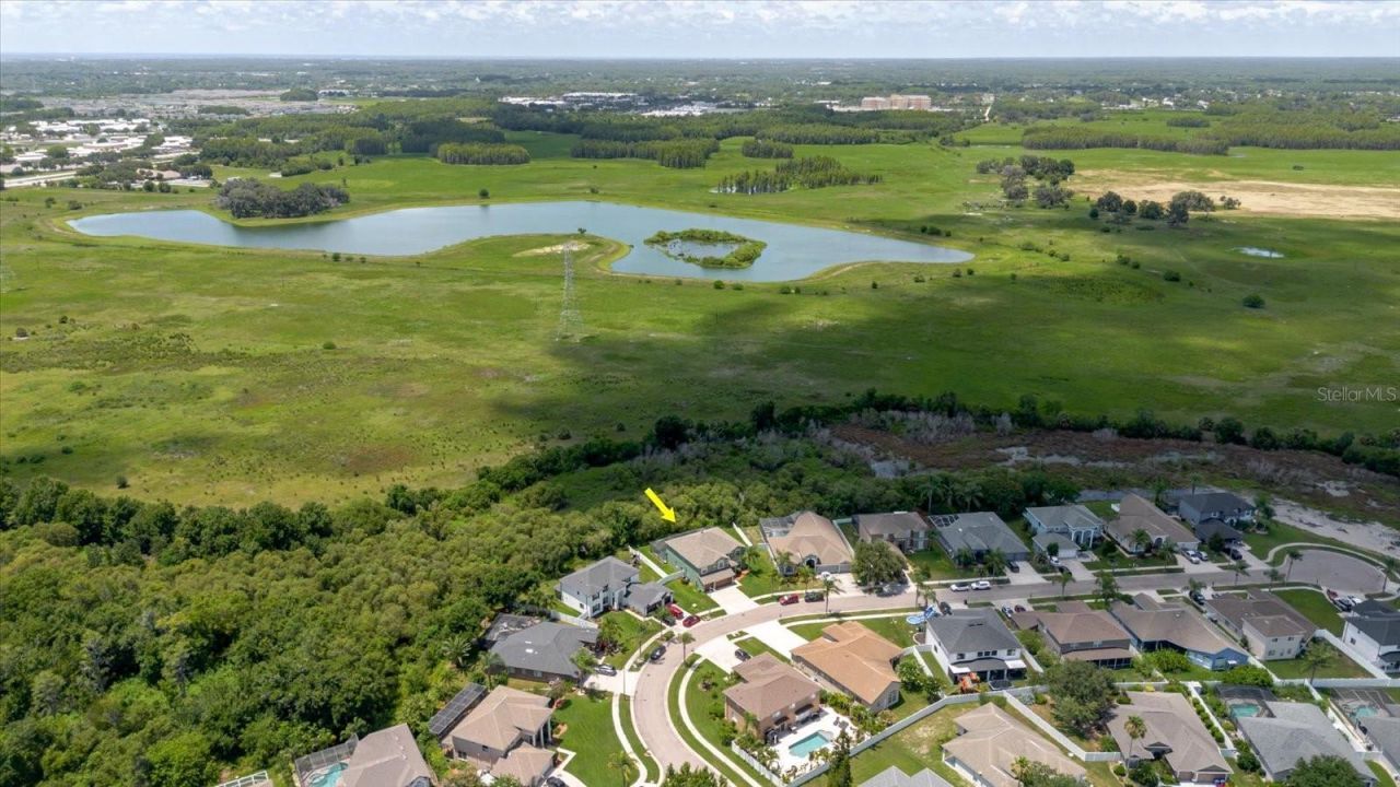 1839 Pink Guara Court, Trinity, FL 34655 Photo