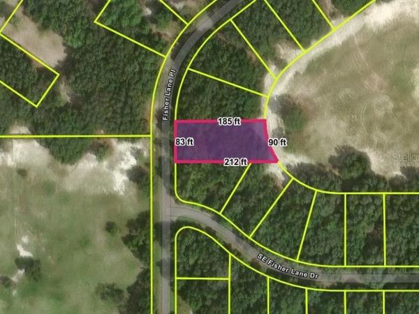 FISHER LANE PLACE , OCKLAWAHA, FL 32179