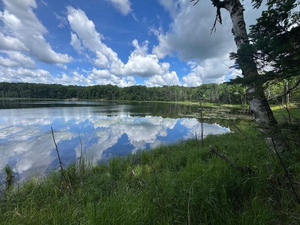 BLUE HERON LANE, Athelstane, WI 54104