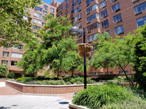 801 S PLYMOUTH Court , Unit 604, Chicago, IL 60605
