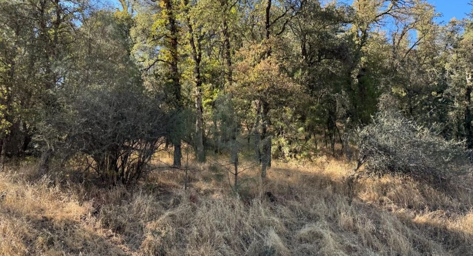 17022 Brewer Rd, Grass Valley, CA 95949 Photo