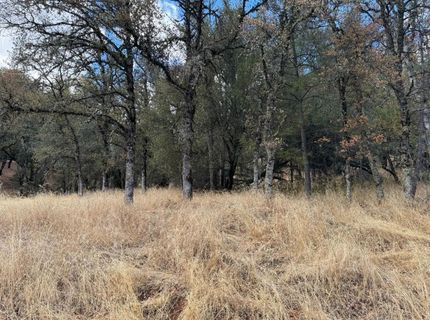 17022 Brewer Rd, Grass Valley, CA 95949 Photo