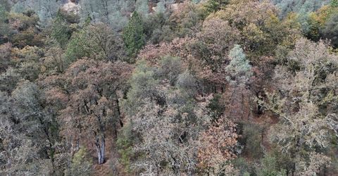 17022 Brewer Rd, Grass Valley, CA 95949 Photo