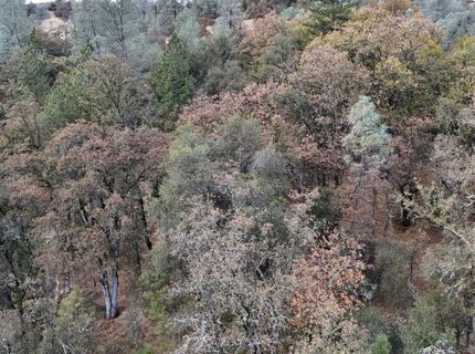 17022 Brewer Rd, Grass Valley, CA 95949 Photo