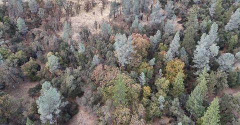 17022 Brewer Rd, Grass Valley, CA 95949 Photo