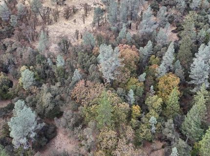 17022 Brewer Rd, Grass Valley, CA 95949 Photo