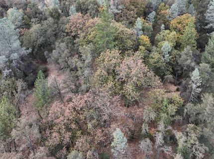 17022 Brewer Rd, Grass Valley, CA 95949 Photo
