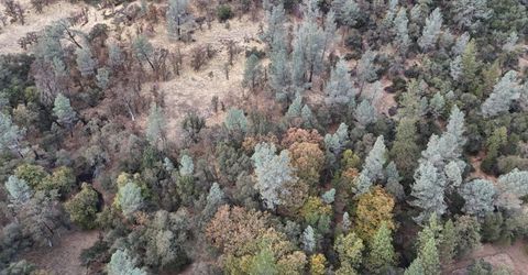 17022 Brewer Rd, Grass Valley, CA 95949 Photo