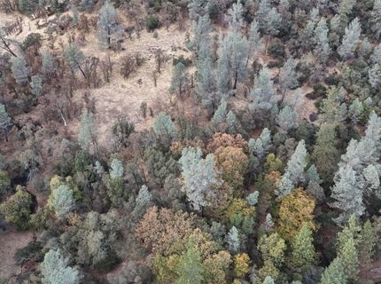17022 Brewer Rd, Grass Valley, CA 95949 Photo