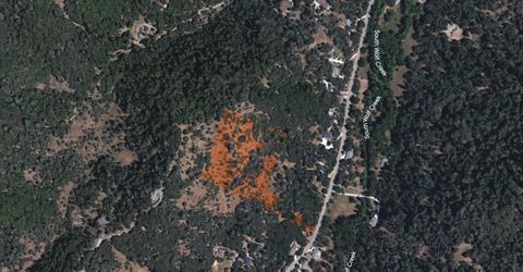 17022 Brewer Rd, Grass Valley, CA 95949 Photo