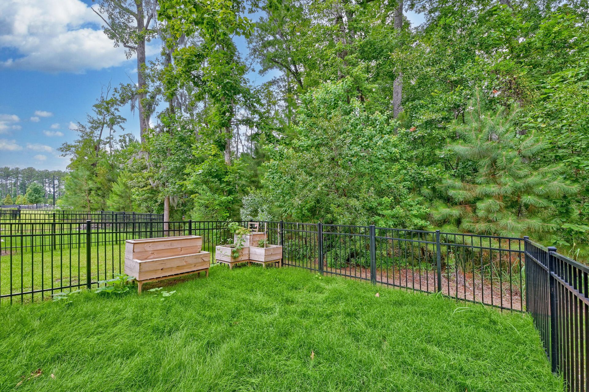 495 Trotters Lane Photo 11