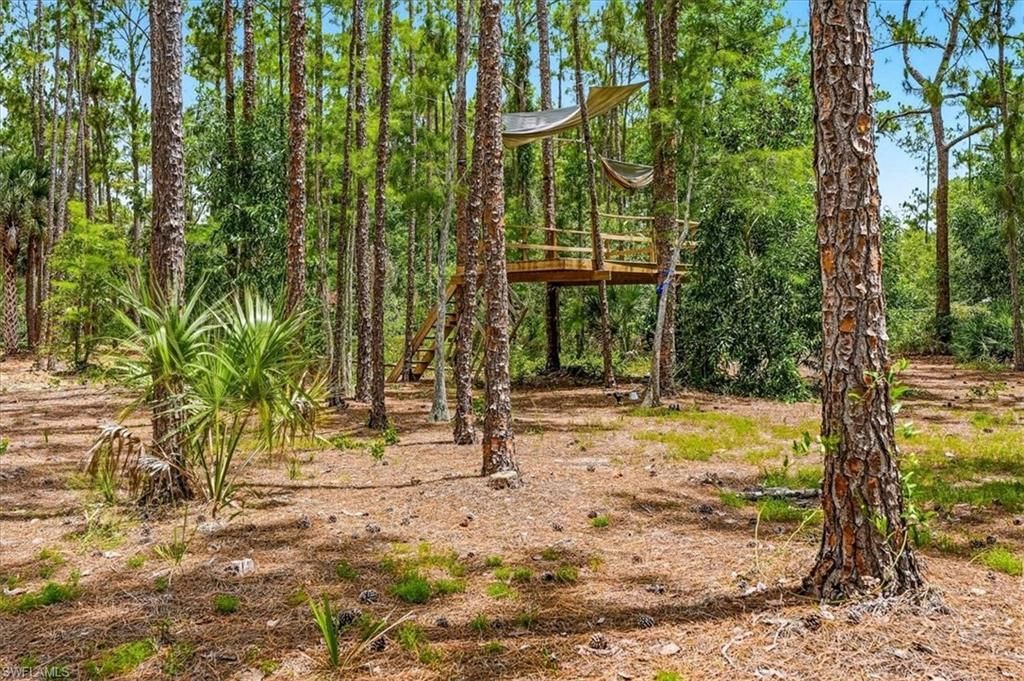 5991 Golden Oaks Ln , Naples, FL 34119 Photo