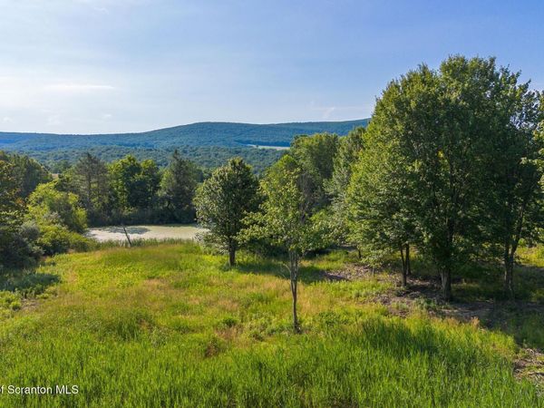 Newton Ransom Boulevard , Newton Twp, PA 18411