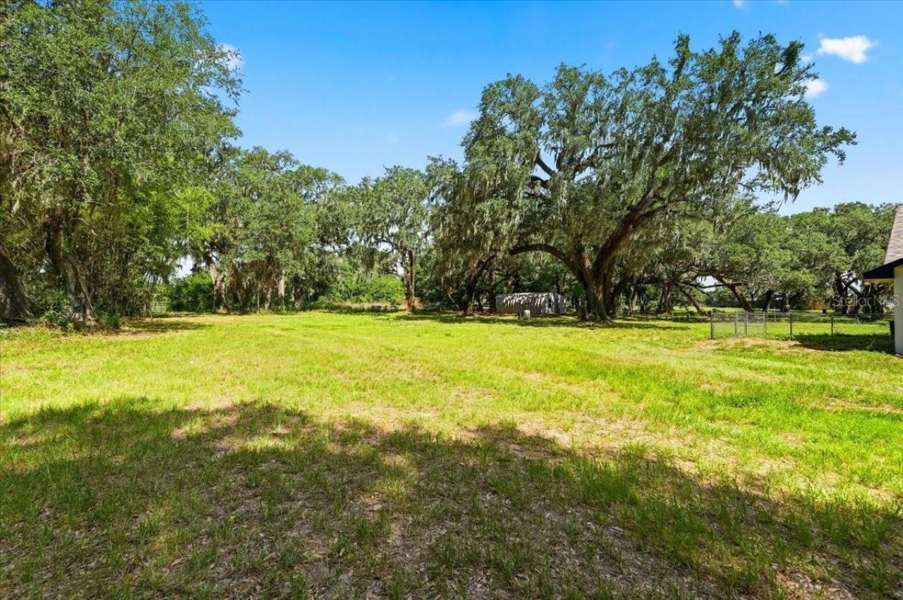 2341 Ef Griffin Road, Bartow, FL 33830 Photo