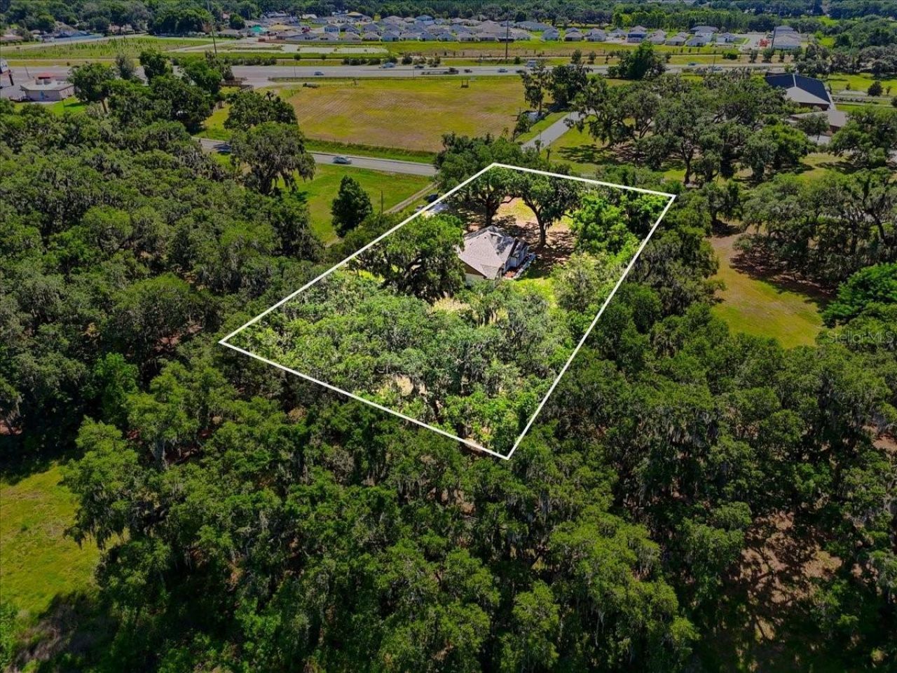 2341 Ef Griffin Road, Bartow, FL 33830 Photo