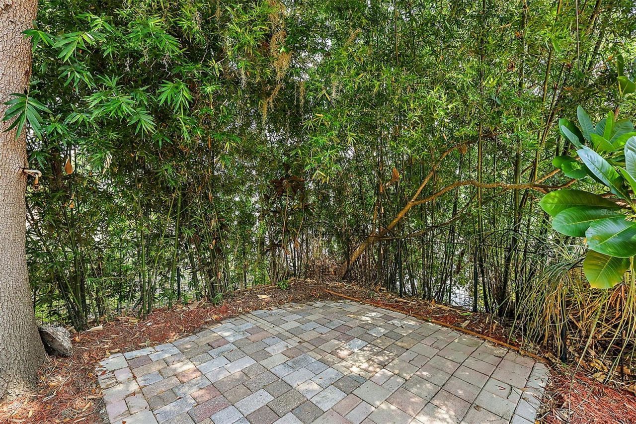 507 Lakeshore Drive, Eustis, FL 32726 Photo