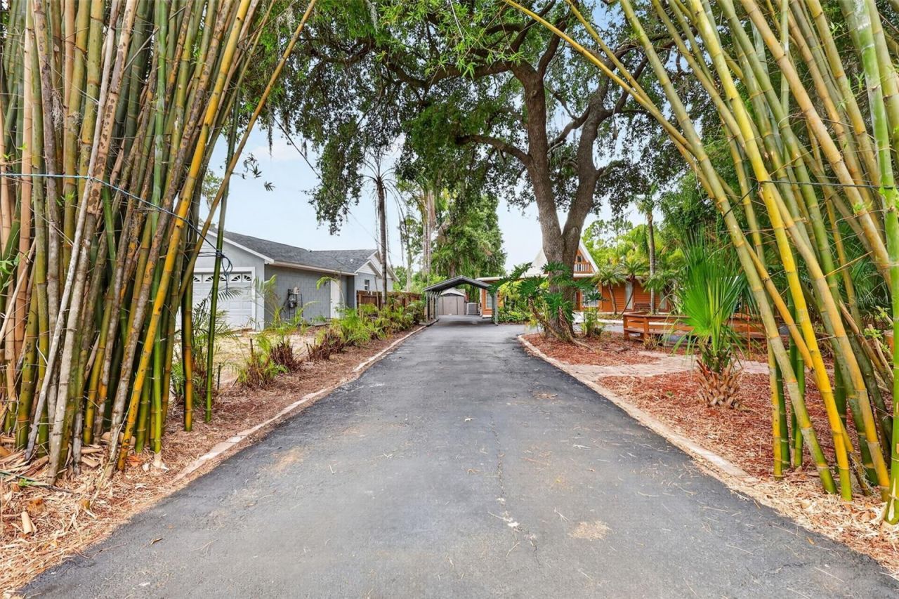 507 Lakeshore Drive, Eustis, FL 32726 Photo