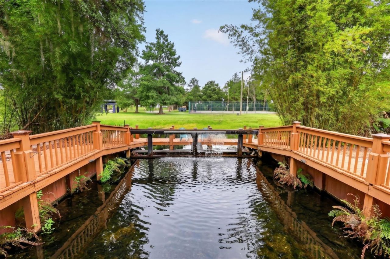 507 Lakeshore Drive, Eustis, FL 32726 Photo