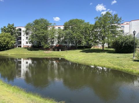 Main Photo