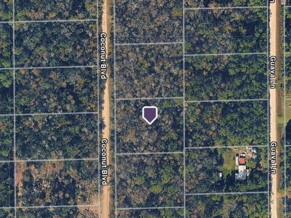 1743 COCONUT BOULEVARD , BUNNELL, FL 32110