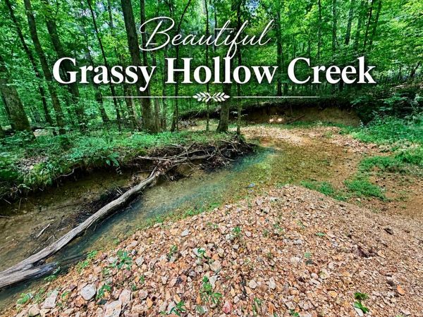 17906 Birdsong Road, Holladay, TN 38341