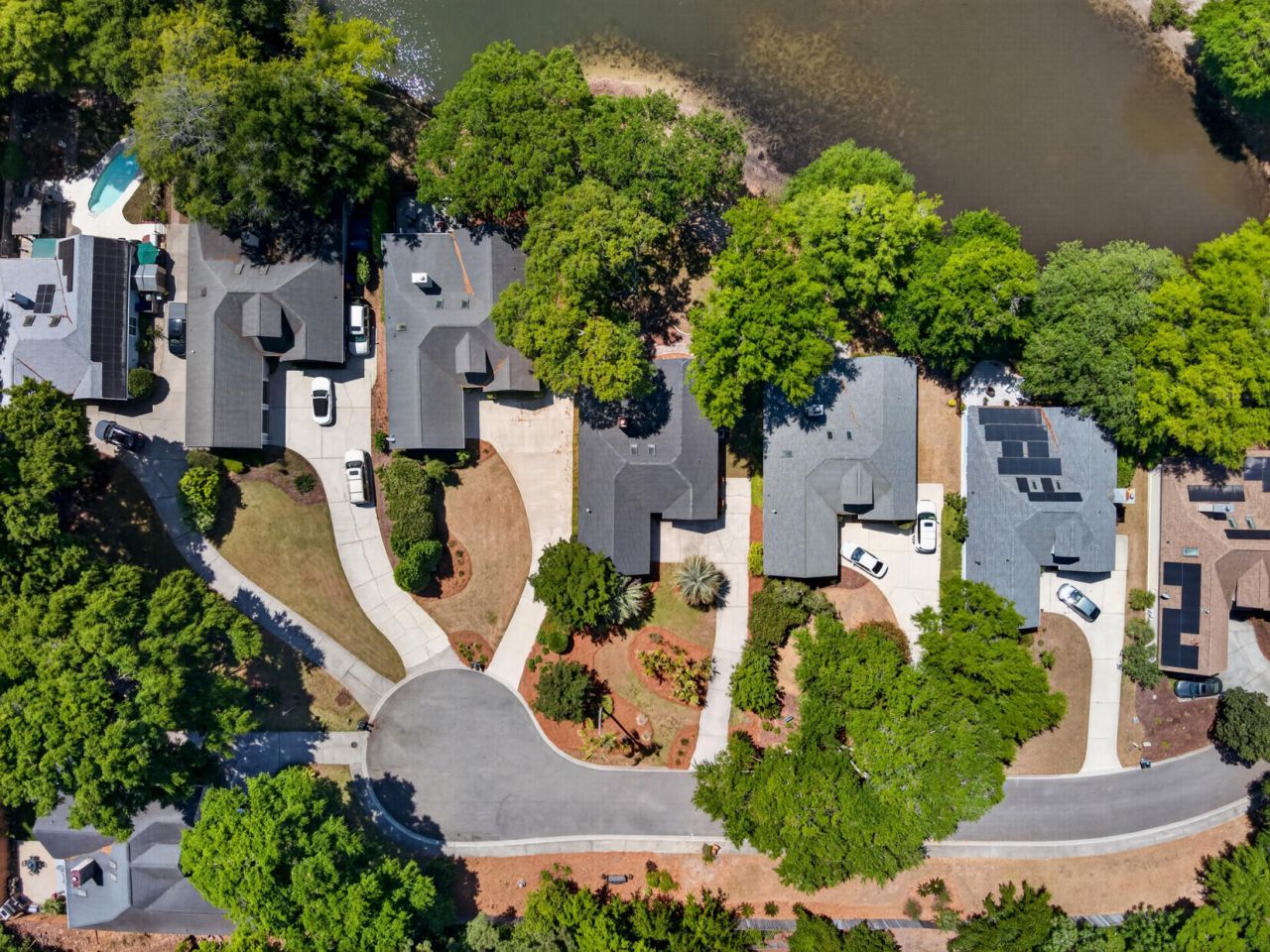 691 Blue Heron Photo 40