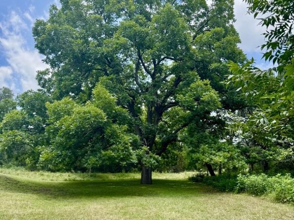 359 BUD DANNER DR, Leakey, TX 78873