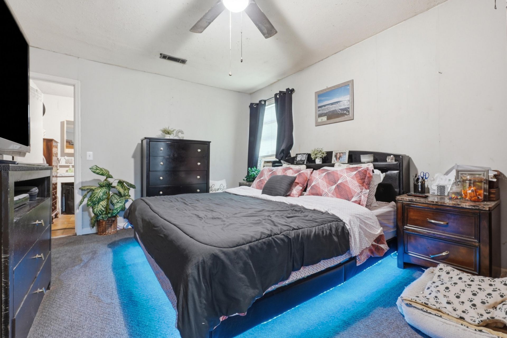 208 Rae Lane Photo 16