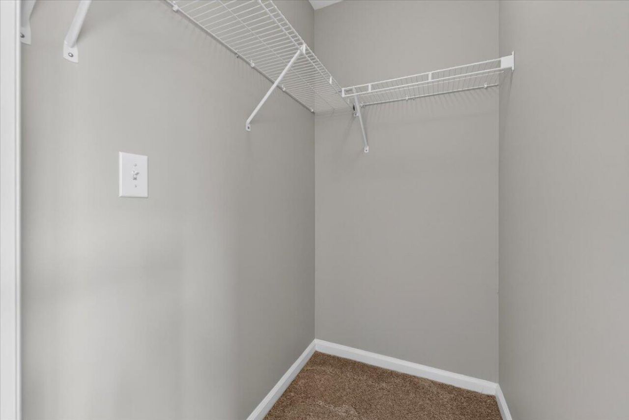 259 Swallowtail Lane Photo 19