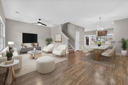 259 Swallowtail Lane photo 4