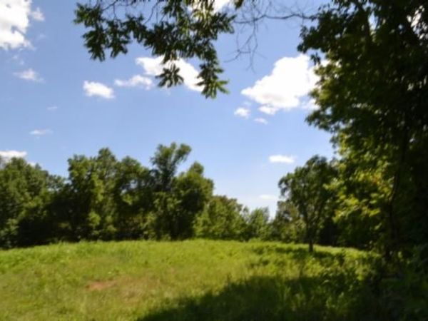23+/-ac Pea Ridge Fire Tower Rd, Celina, TN 38551
