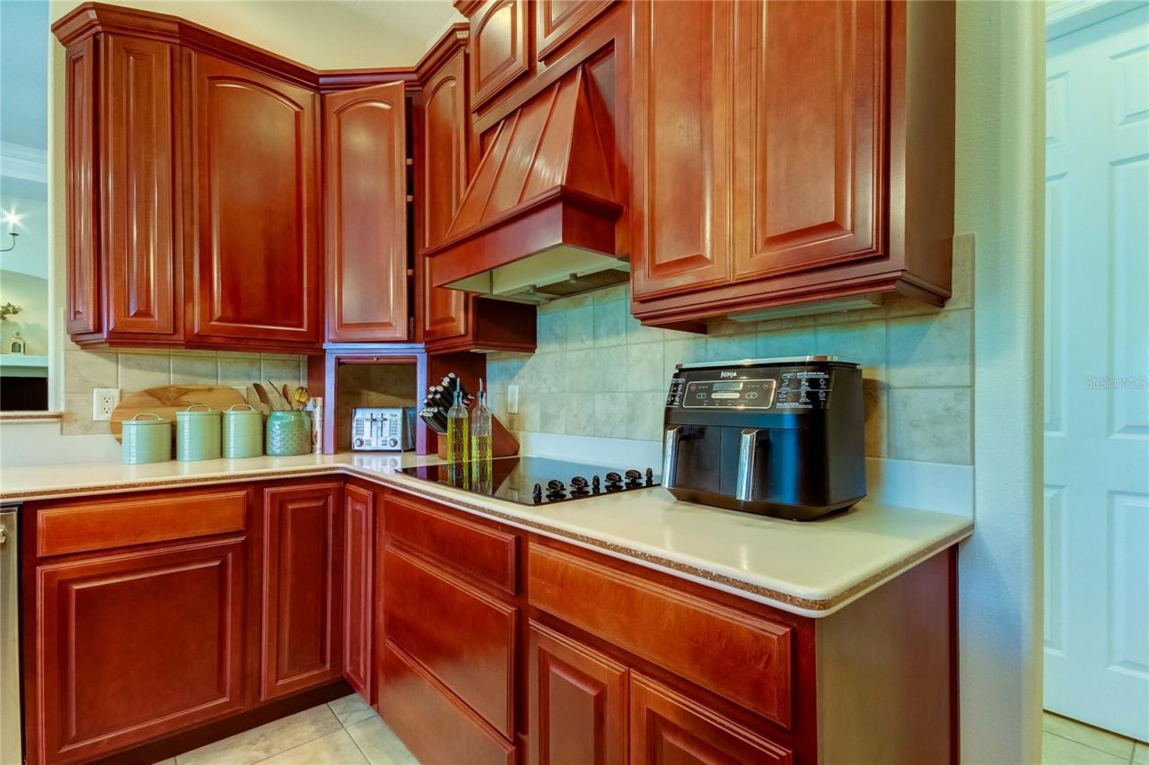 1422 Aristides Court, Odessa, FL 33556 Photo