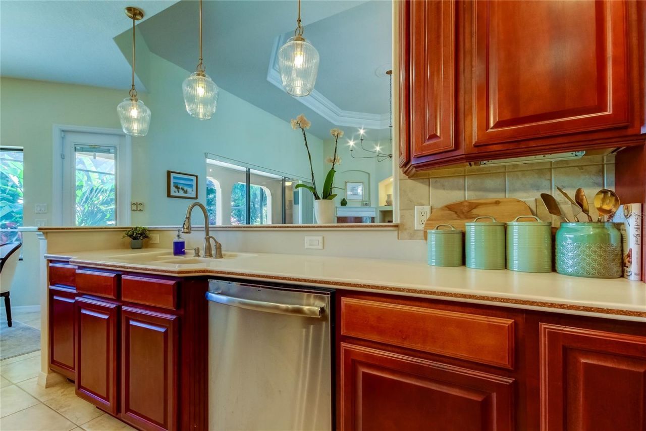 1422 Aristides Court, Odessa, FL 33556 Photo